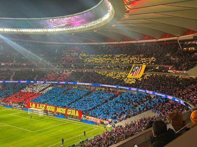 app下载-11位特级飞行员牺牲