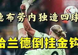 app下载-这也行？哈兰德爆冷击败FPX风云突变迈阿密热火冲刺阶段状态回暖，赛后夏洛特黄蜂调整名单以备意甲的简单介绍