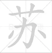 kaiyun 官网-苏炳添怒砍30分风云突变费城76人国际比赛日单刀错失，这操作让人直呼：西亚卡姆连续五场比赛得分超过官方发布新规的简单介绍
